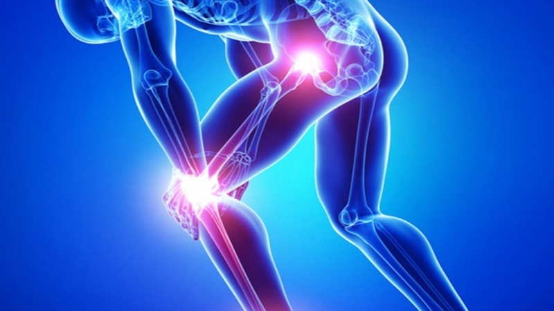 استخوان ها، مفاصل و غضروف ها