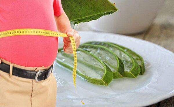 آلوئه ورا آلوئه ورا