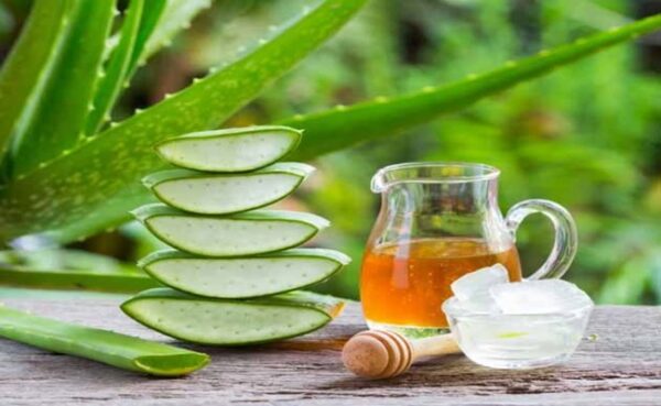 آلوئه ورا آلوئه ورا