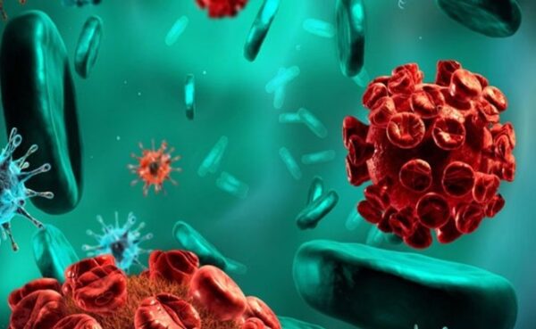 تقویت سیستم ایمنی بدن