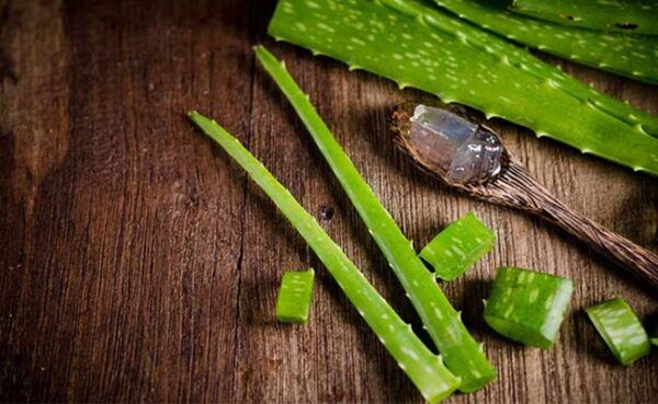 آلوئه ورا آلوئه ورا