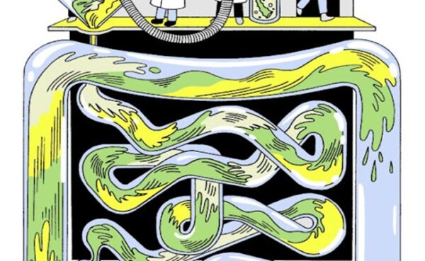 آلوئه ورا آلوئه ورا