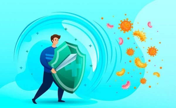 آلوئه ورا آلوئه ورا