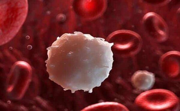 تقویت سیستم ایمنی بدن