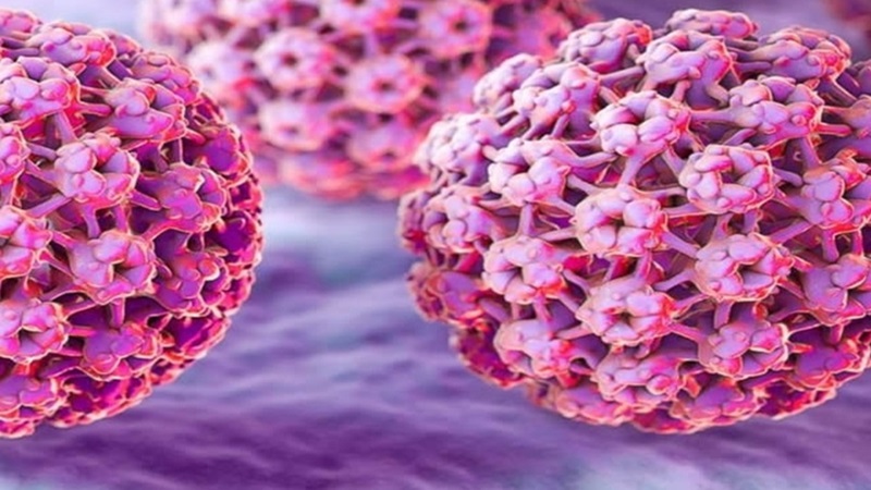 زگیل تناسلی