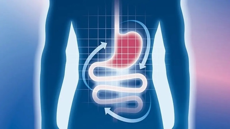 خواص آلوئه ورا برای سلامت دستگاه گوارش